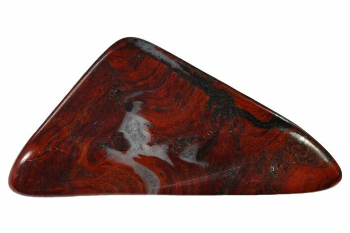 Polished Stromatolite (Collenia) - Minnesota #136910
